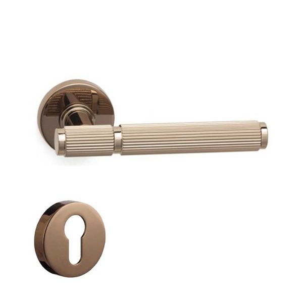 PIXAR-L Rose  Kapı Kolu Yale