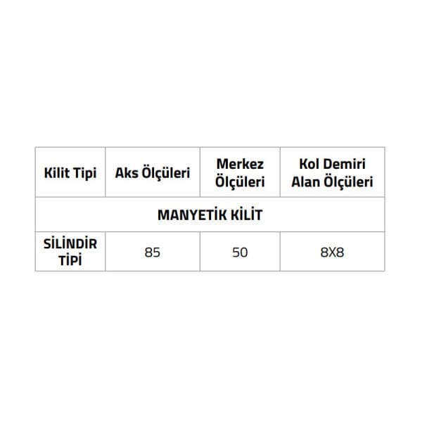 LC100LT01Y ABM Manyetik Kilit Yale