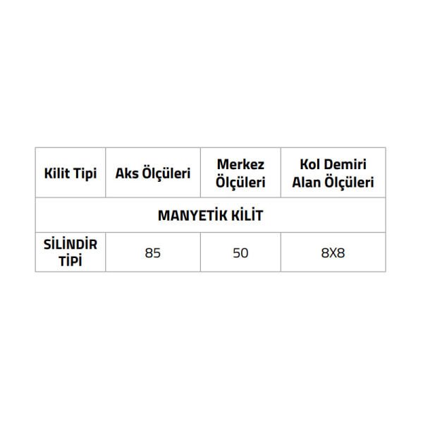 LC100LT01Y GL Manyetik Kilit Yale