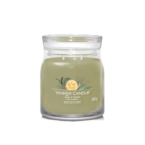 1629995E Orta Mum Sage-Citrus