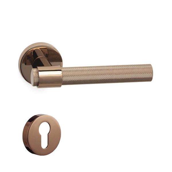 AXEL-T Rose  Kapı Kolu Yale