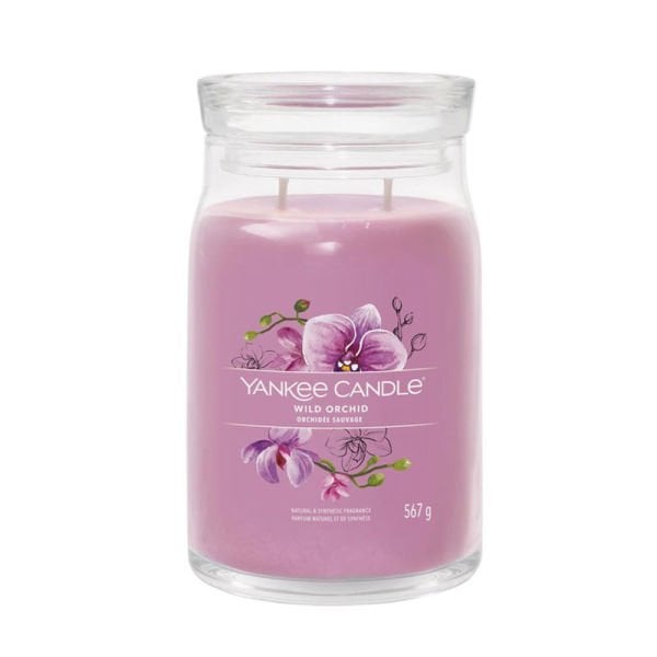 1629979E Büyük Mum Wild Orchid