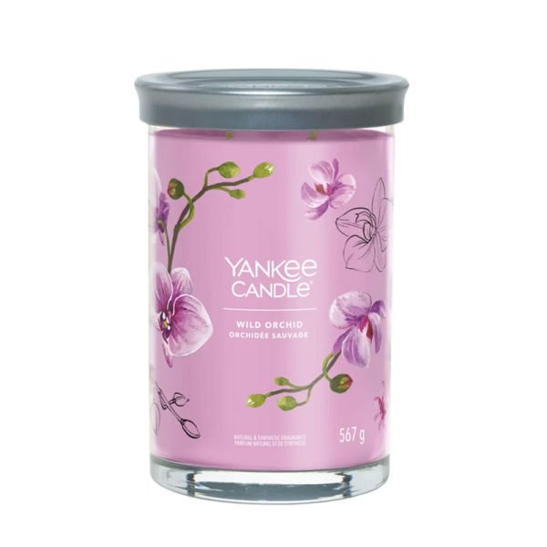 1630047E Bardak Mum Wild Orchid