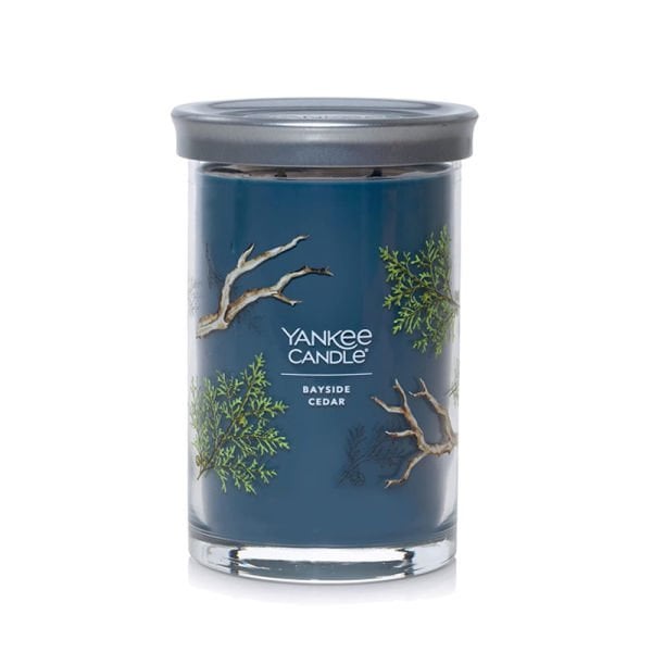 1630048E Bardak Mum Bayside Cedar