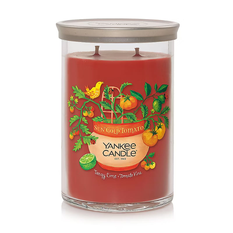 2659725 Orta Boy Mum Sun Gold Tomato