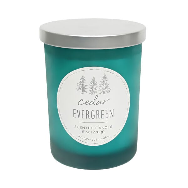 1681687 Orta Boy Mum Cedar Evergreen